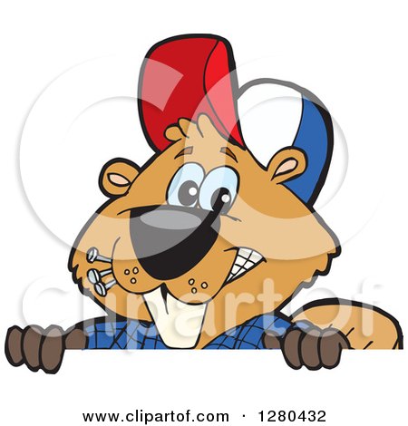 Clipart of a Happy Builder Beaver Peeking over a Sign - Royalty Free Vector Illustration by Dennis Holmes Designs