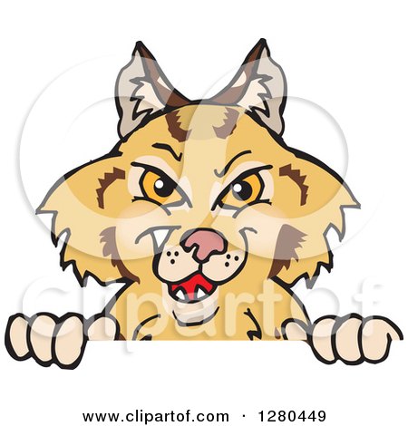 Clipart of a Grinning Bobcat Peeking over a Sign - Royalty Free Vector Illustration by Dennis Holmes Designs