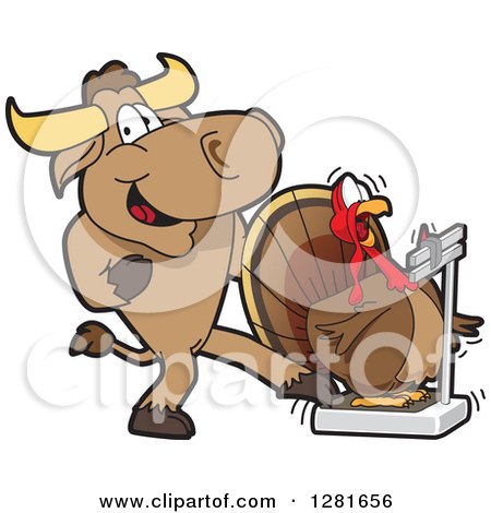Clipart of a Bull School Mascot Character Making a Thanksgiving Turkey Bird Think He Weighs More on a Scale - Royalty Free Vector Illustration by Mascot Junction