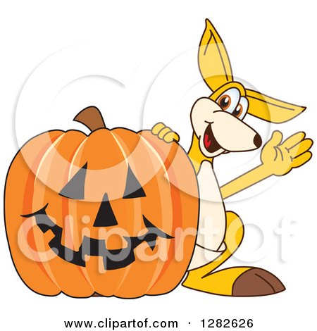 Clipart of a Happy Kangaroo School Mascot Character Waving by a Halloween Jackolantern Pumpkin - Royalty Free Vector Illustration by Mascot Junction