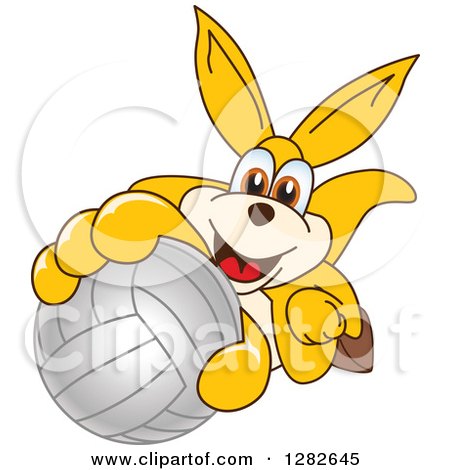 Clipart of a Happy Kangaroo School Mascot Character Holding up or Catching a Volleyball - Royalty Free Vector Illustration by Mascot Junction