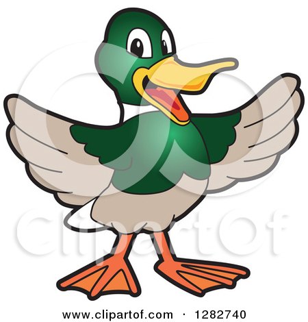 Clipart of a Happy Welcoming Mallard Duck School Mascot Character - Royalty Free Vector Illustration by Mascot Junction