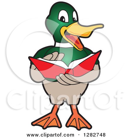 Clipart of a Happy Mallard Duck School Mascot Character Reading a Book - Royalty Free Vector Illustration by Mascot Junction