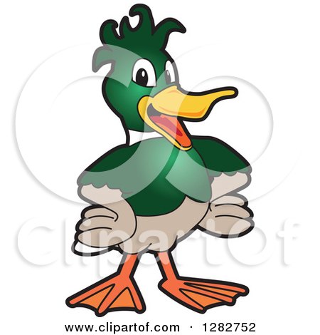 Clipart of a Happy Mallard Duck School Mascot Character with Funky Hair - Royalty Free Vector Illustration by Mascot Junction
