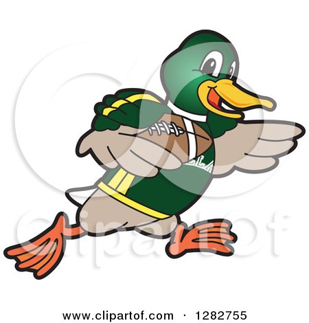 Clipart of a Happy Mallard Duck School Sports Mascot Character Running with an American Football - Royalty Free Vector Illustration by Mascot Junction