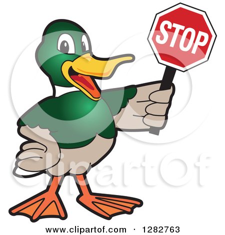 Clipart of a Happy Mallard Duck School Mascot Character Holding a Stop Sign - Royalty Free Vector Illustration by Mascot Junction