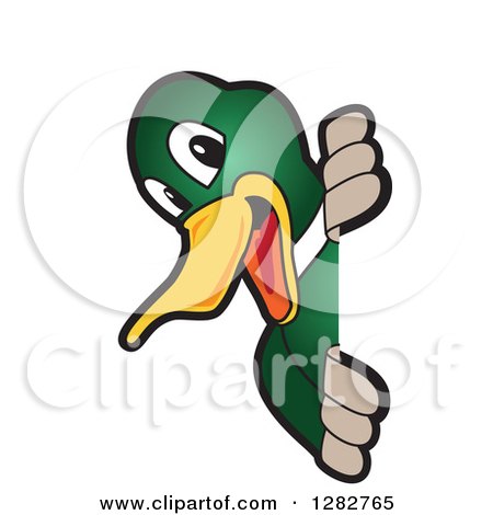Clipart of a Happy Mallard Duck School Mascot Character Smiling Around a Sign - Royalty Free Vector Illustration by Mascot Junction