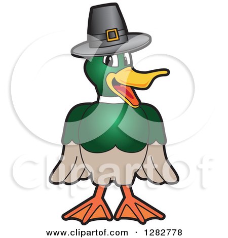Clipart of a Happy Mallard Duck School Mascot Character Wearing a Thanksgiving Pilgrim Hat - Royalty Free Vector Illustration by Mascot Junction