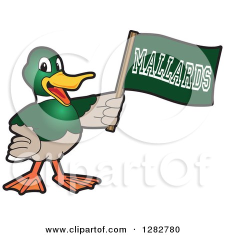 Clipart of a Happy Mallard Duck School Sports Mascot Character Holding up a Flag - Royalty Free Vector Illustration by Mascot Junction