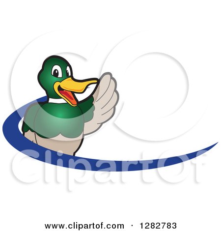 Clipart of a Happy Waving Mallard Duck School Mascot Character and Blue Dash Logo - Royalty Free Vector Illustration by Mascot Junction
