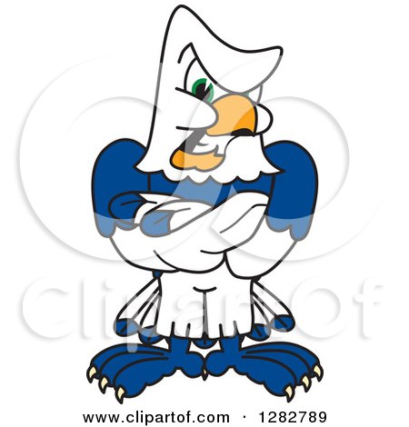 Clipart of a Tough Seahawk School Mascot Character with Folded Arms - Royalty Free Vector Illustration by Mascot Junction
