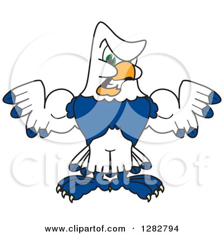 Clipart of a Tough Seahawk Sports School Mascot Character Flexing His Muscles - Royalty Free Vector Illustration by Mascot Junction