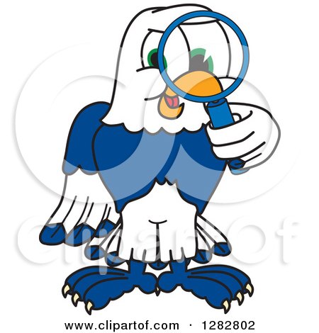 Clipart of a Happy Seahawk School Mascot Character Looking Through a Magnifying Glass - Royalty Free Vector Illustration by Mascot Junction