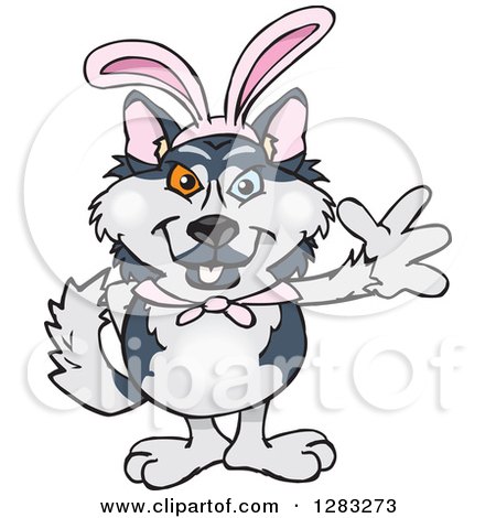 Clipart of a Friendly Waving Husky Dog Wearing Easter Bunny Ears - Royalty Free Vector Illustration by Dennis Holmes Designs