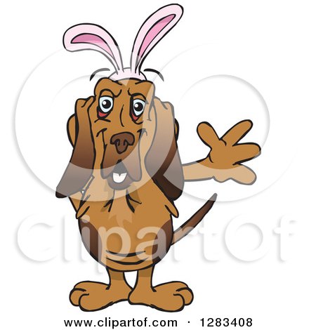 Clipart of a Friendly Waving Bloodhound Dog Wearing Easter Bunny Ears - Royalty Free Vector Illustration by Dennis Holmes Designs