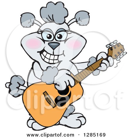 Clipart of a Cartoon Happy Gray Poodle Dog Playing an Acoustic Guitar - Royalty Free Vector Illustration by Dennis Holmes Designs