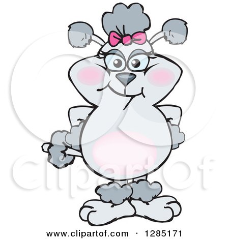 Clipart of a Cartoon Gray Poodle Dog - Royalty Free Vector Illustration by Dennis Holmes Designs