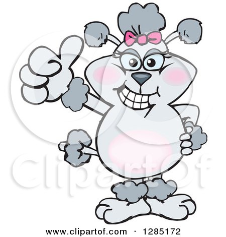 Clipart of a Cartoon Gray Poodle Dog Giving a Thumb up - Royalty Free Vector Illustration by Dennis Holmes Designs