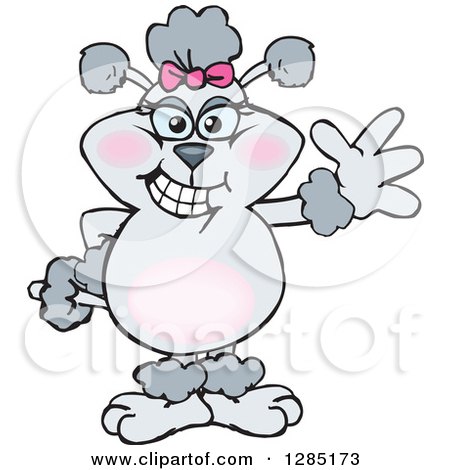 Clipart of a Cartoon Gray Poodle Dog Waving - Royalty Free Vector Illustration by Dennis Holmes Designs