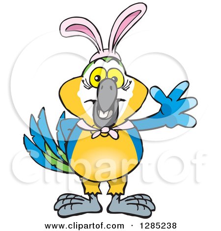Clipart of a Friendly Waving Blue and Yellow Macaw Wearing Easter Bunny Ears - Royalty Free Vector Illustration by Dennis Holmes Designs