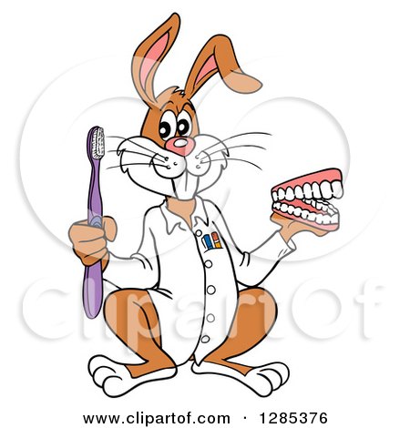 Clipart of a Cartoon Dentist Rabbit Holding a Toothbrush and Set of Teeth - Royalty Free Vector Illustration by LaffToon