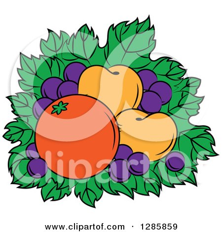Clipart of a Bed of Leaves with Grapes, Apricots and an Orange - Royalty Free Vector Illustration by Vector Tradition SM
