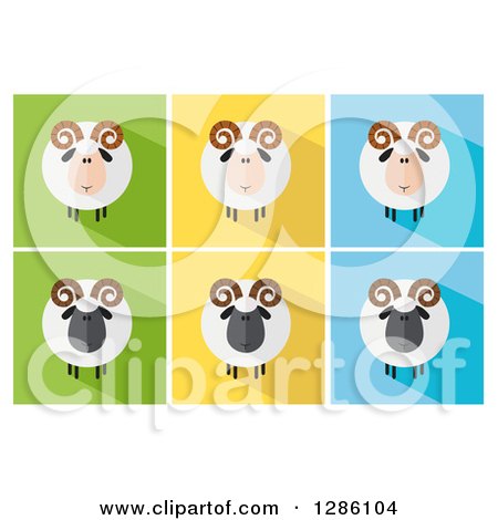 Clipart of Modern Flat Designs of Round Fluffy White and Black Ram Sheep on Colorful Tiles - Royalty Free Vector Illustration by Hit Toon