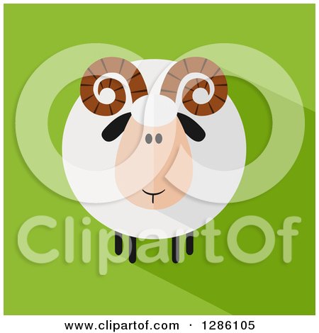 Clipart of a Modern Flat Design Round Fluffy White Ram Sheep with a Shadow on Green - Royalty Free Vector Illustration by Hit Toon