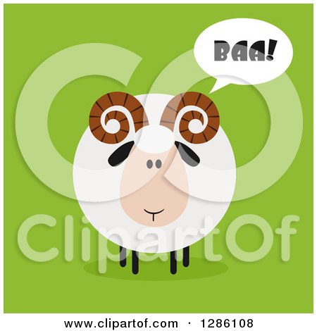 Clipart of a Modern Flat Design Round Fluffy White Ram Sheep Baaing on Green - Royalty Free Vector Illustration by Hit Toon