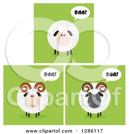 Clipart of Modern Flat Designs of Round Fluffy White and Black Baaing Sheep and Rams over Green Tiles - Royalty Free Vector Illustration by Hit Toon