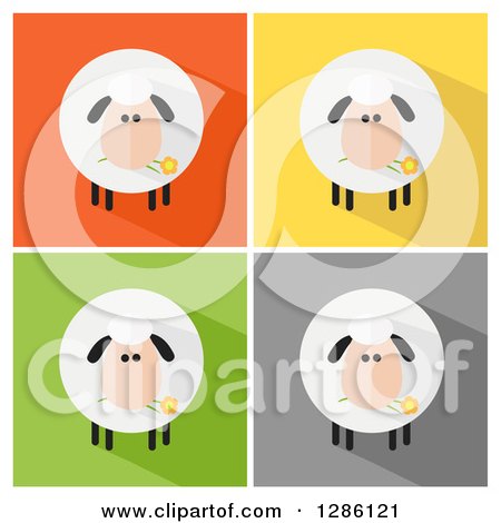 Clipart of Modern Flat Designs of Round Fluffy White Sheep with Shadows over Colorful Tiles - Royalty Free Vector Illustration by Hit Toon