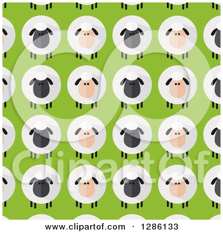 Clipart of a Background Pattern of Modern Flat Designed Fluffy Black and White Sheep over Green - Royalty Free Vector Illustration by Hit Toon