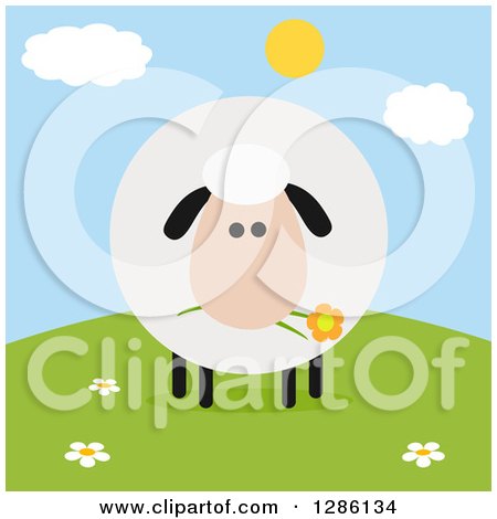 Clipart of a Modern Flat Design Round Fluffy White Sheep Eating a Flower on a Hill - Royalty Free Vector Illustration by Hit Toon