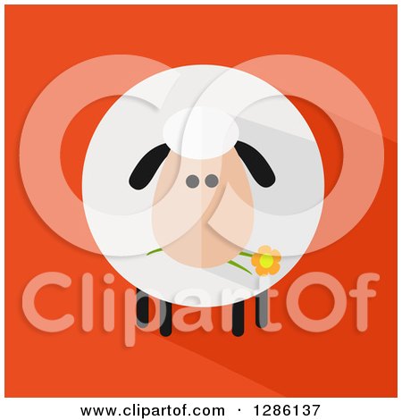 Clipart of a Modern Flat Design Round Fluffy Sheep Eating a Daisy Flower with a Shadow on Orange - Royalty Free Vector Illustration by Hit Toon