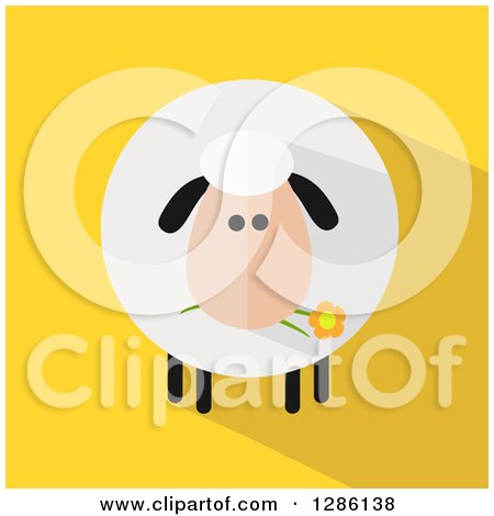 Clipart of a Modern Flat Design Round Fluffy Sheep Eating a Daisy Flower with a Shadow on Yellow - Royalty Free Vector Illustration by Hit Toon