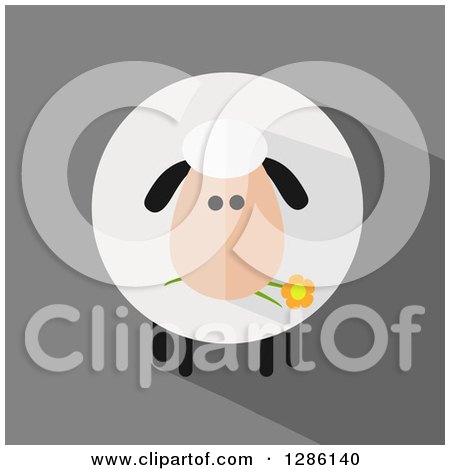 Clipart of a Modern Flat Design Round Fluffy White Sheep Eating a Daisy Flower on Gray - Royalty Free Vector Illustration by Hit Toon