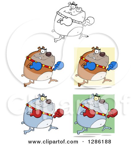 Clipart of Black and White, Brown and Gray Bulldogs with Boxing Gloves - Royalty Free Vector Illustration by Hit Toon