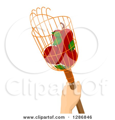 Clipart of a Caucasian Hand Holding a Fruit Picker with Red Apples - Royalty Free Vector Illustration by BNP Design Studio