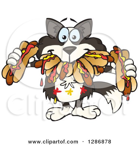 Clipart of a Hungry Border Collie Dog Shoving Weenies in His Mouth at a Hot Dog Eating Contest - Royalty Free Vector Illustration by Dennis Holmes Designs