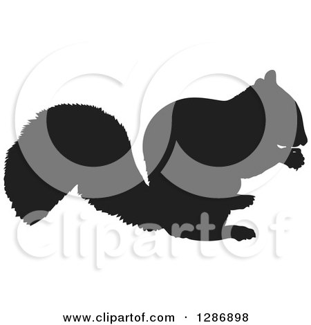 Clipart of a Black Silhouetted Squirrel Eating a Nut - Royalty Free Vector Illustration by Maria Bell