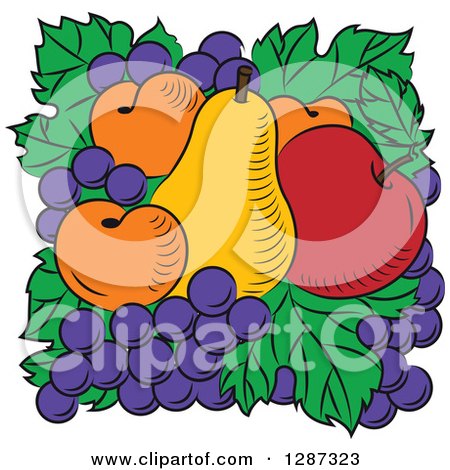 Clipart of a Fruit Logo of a Pear, Red Apple, Apricots and Grapes on Green Leaves - Royalty Free Vector Illustration by Vector Tradition SM
