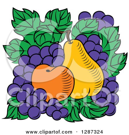 Clipart of a Fruit Logo of a Pear, Apricot and Grapes on Green Leaves - Royalty Free Vector Illustration by Vector Tradition SM