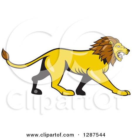 Clipart of a Cartoon Roaring Male Lion Walking in Profile - Royalty Free Vector Illustration by patrimonio