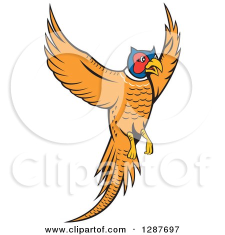Clipart of a Cartoon Pheasant Bird Flying - Royalty Free Vector Illustration by patrimonio