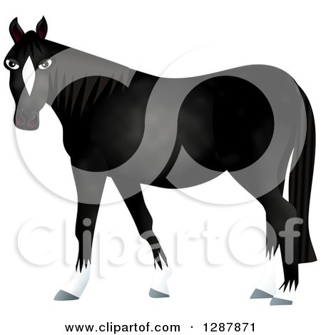 Clipart of a Black Horse with White Boots - Royalty Free Illustration by Prawny