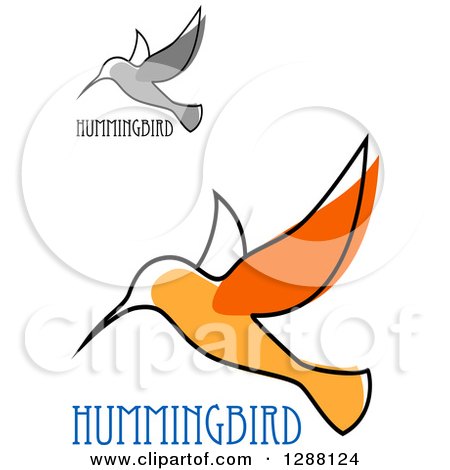 Clipart of Sketched Grayscale and Orange Hummingbirds with Text - Royalty Free Vector Illustration by Vector Tradition SM