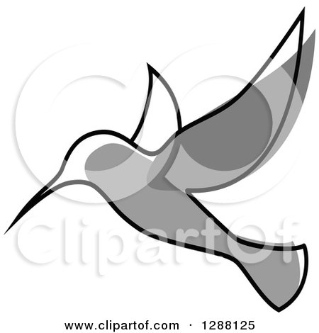 Clipart of a Sketched Grayscale Hummingbird - Royalty Free Vector Illustration by Vector Tradition SM