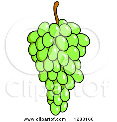 Clipart of a Bunch of Bright Green Grapes - Royalty Free Vector Illustration by Vector Tradition SM