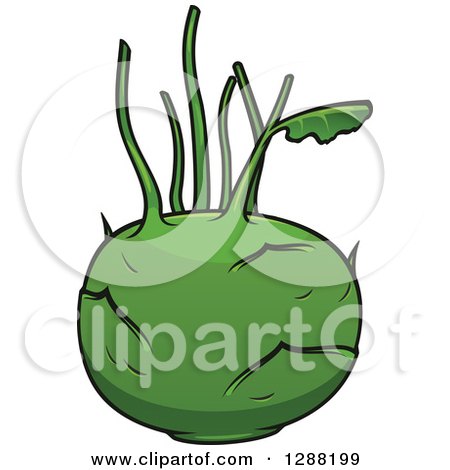 Clipart of a Green Kohlrabi - Royalty Free Vector Illustration by Vector Tradition SM