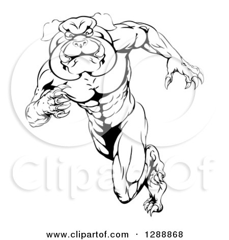 Clipart of a Black and White Muscular Tough Bulldog Man Mascot Sprinting Upright - Royalty Free Vector Illustration by AtStockIllustration